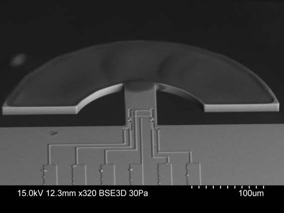 icsens.20131.jpg