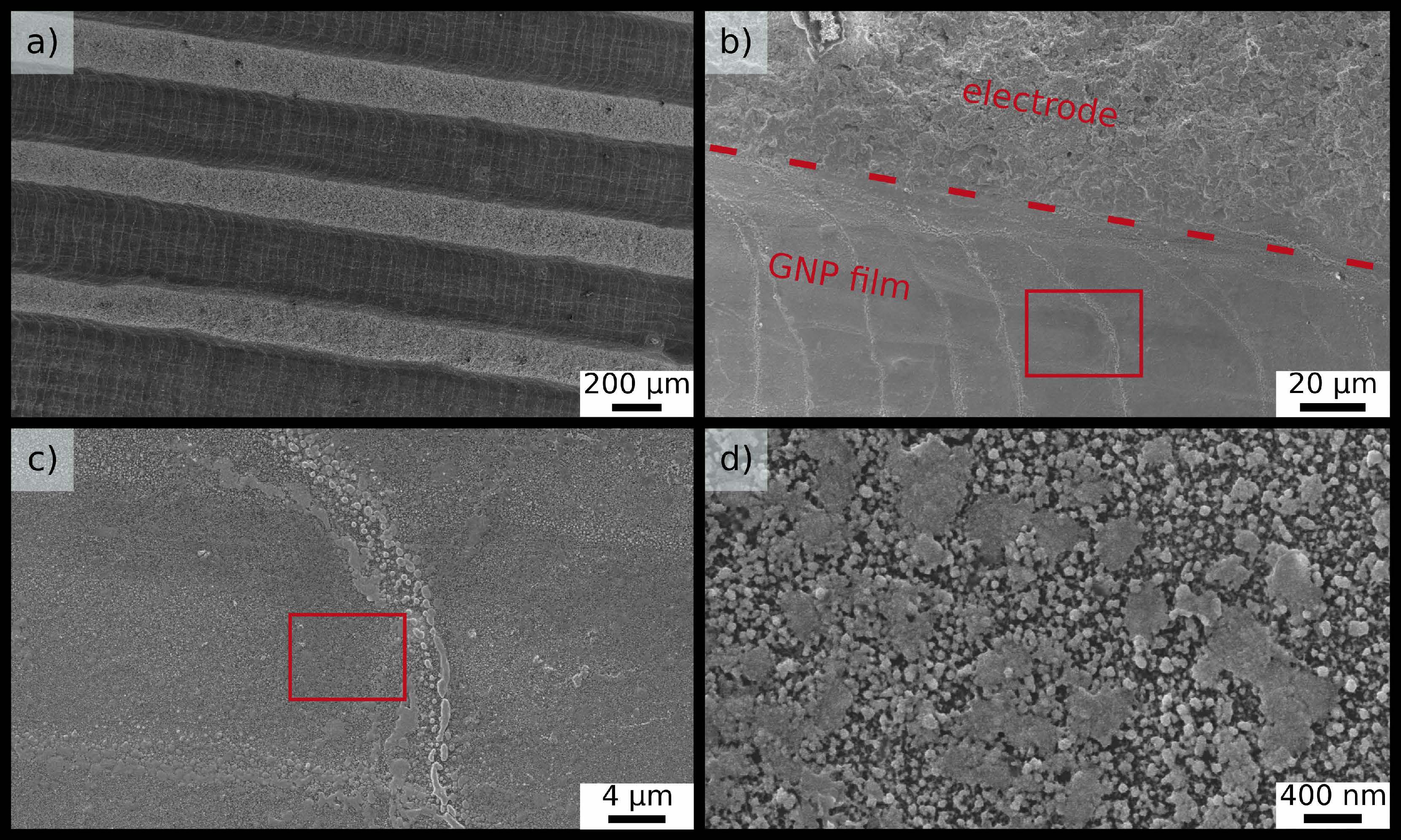 chemosensors-08-00116-v303.jpg